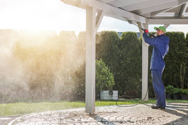Best Parking Lot and Garage Cleaning  in Monroe, MI